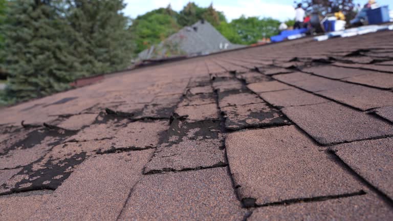 Best Roof Insulation Installation  in , TX