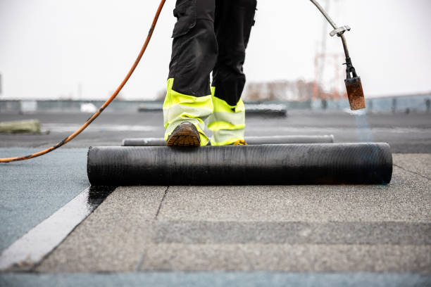 Best Solar Panel Roofing Installation  in , TX
